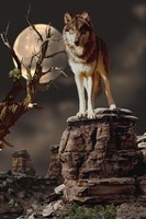 Moonlighter Fine Art Print