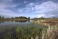 Blue Sky And Lake Landscape Fine Art Print