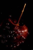 Cherry Covered In Water Drops IV Fine Art Print