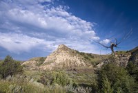 Mountain And Green Field Fine Art Print