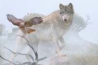 Silent Encounter Fine Art Print