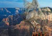 Haunted Canyon Fine Art Print