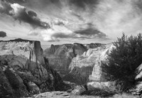 Zion 8 Fine Art Print