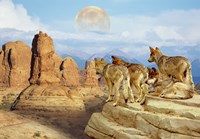 Hot July Moon Fine Art Print