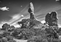 High Rock And Tree Fine Art Print