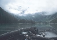 Glacier National Park Lake 2 Fine Art Print