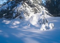 Winter Snow Day Fine Art Print