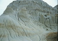 Theodore Roosevelt National Park 28 Fine Art Print