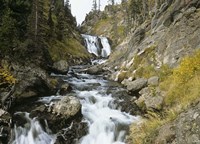 Yellowstone 7 Fine Art Print