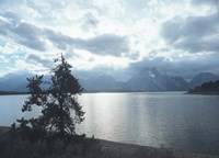 Grand Teton 16 Fine Art Print