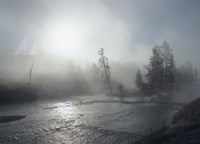 Yellowstone 5 Fine Art Print