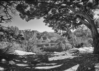 Grand Canyon 8 Fine Art Print