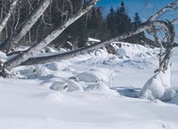Lake Superior Winter Snow 25 Fine Art Print
