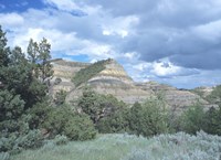Theodore Roosevelt National Park 1 Fine Art Print