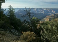 Grand Canyon 3 Fine Art Print