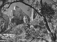 Zion 3 Fine Art Print