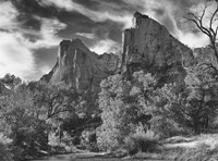 Zion 2 Fine Art Print