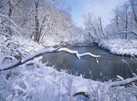 Buffalo River Snow 41 Fine Art Print