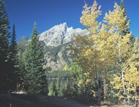 Grand Teton 12 Fine Art Print