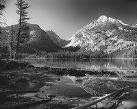 Grand Teton 4 Fine Art Print