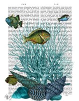 Fish Blue Shells and Corals Framed Print