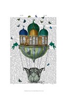 Butterfly House Framed Print