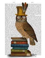Owl On Books Fine Art Print