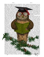 Owl Reading On Branch Framed Print