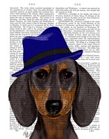 Dachshund With Blue Trilby Framed Print
