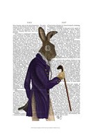 Hare In Purple Coat Fine Art Print