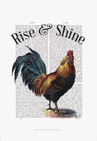 Rise and Shine Framed Print