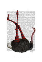 Ostrich with Striped Leggings Fine Art Print
