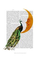 Peacock on the Moon Framed Print