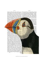 Puffin Portrait Fine Art Print
