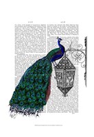 Peacock On Lamp Framed Print