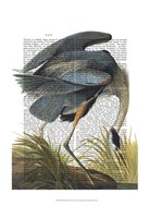 Blue Heron 1 Fine Art Print