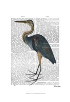 Blue Heron 3 Fine Art Print