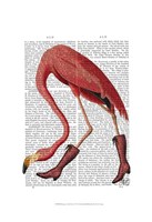 Flamingo in Pink Boots Fine Art Print