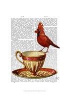 Teacup And Red Cardinal Fine Art Print