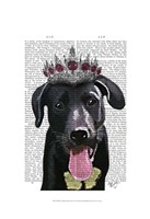 Black Labrador With Tiara Fine Art Print