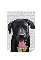 Black Labrador Plain Fine Art Print
