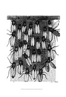 Bee and Honeycomb Print Fine Art Print