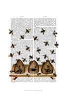 BeeHive Print Fine Art Print