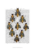 Medieval Bees Fine Art Print