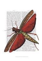 Vintage Grasshopper Fine Art Print