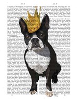 Boston Terrier And Crown Framed Print
