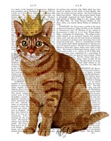 Ginger Cat with Crown Full Framed Print