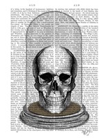 Skull In Bell Jar Fine Art Print