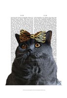 Grey Cat with Leopard Bow Fine Art Print