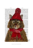 Maine Coon Cat Framed Print